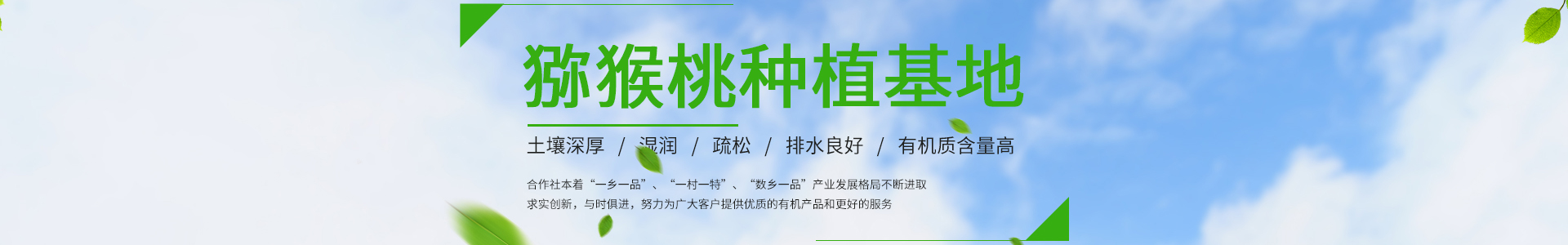 suncitygroup太阳·(中国)集团官方网站